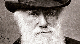 Timeline: darwin
