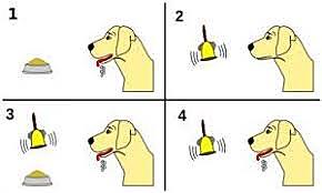 Ivan Pavlov, el condicionamiento y el conductismo