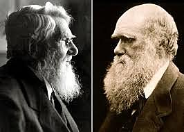 charles lyell aconseja a darwin trabajar sobre sus ideas sobre la evolucion