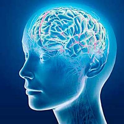 Timeline: Desarrollo de la Neuropsicología