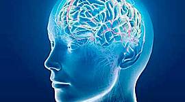 Timeline: Desarrollo de la Neuropsicología