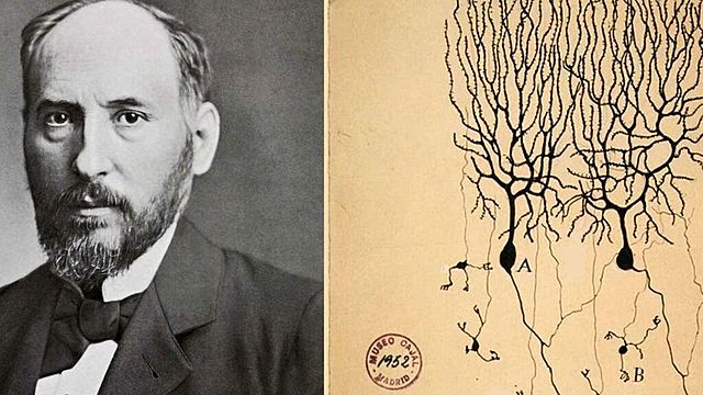 Santiago Ramón y Cajal (1852 - 1934)