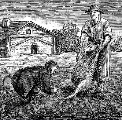 1887 - RABIA EN MÉXICO