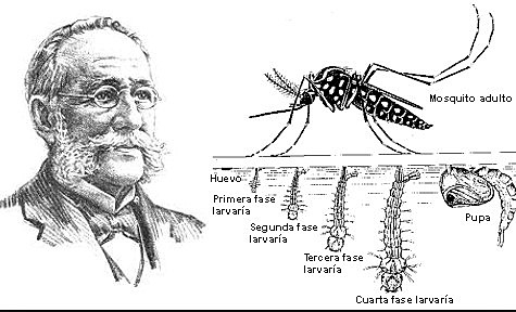 1907 - CAMPAÑAS DE SALUD EN MÉXICO