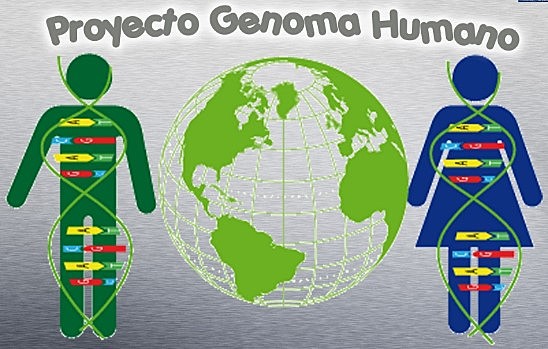 2003 - PROYECTO DE GENOMA HUMANO