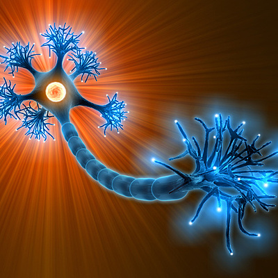 Timeline: Historia de la Neurociencia de la Conducta