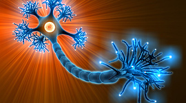 Timeline: Historia de la Neurociencia de la Conducta