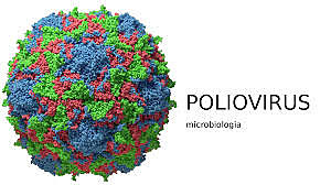 1963 POLIOVIRUS