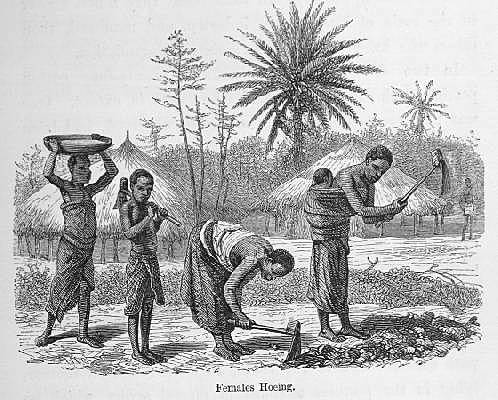 La explotación económica y sus consecuencias