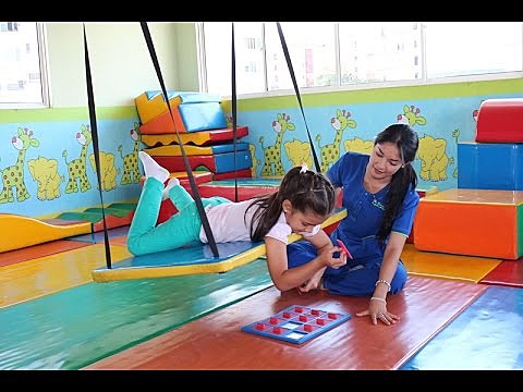 Modelo rehabilitador