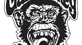 Timeline: Linea de la vida