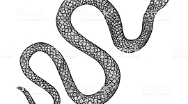 Timeline: Timeline de Andrea Delgado <3