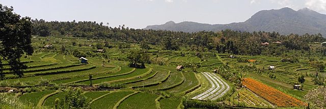 Ley de Bases de la Reforma Agraria.