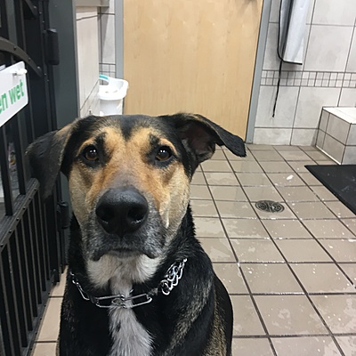 Timeline: Personal TimeLine