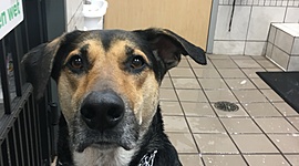 Timeline: Personal TimeLine