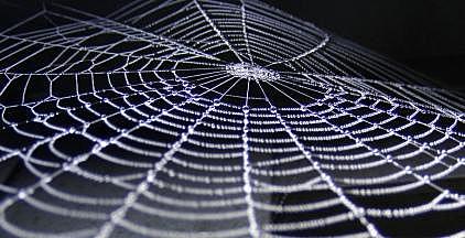 John Burton - Pókháló modell