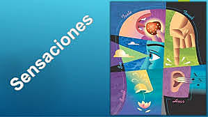 Método experimental