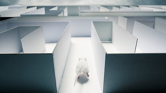 TOLMAN Y SU LABORATORIO