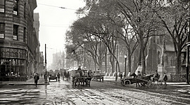 Timeline: Historical Timeline : Due 6/22/2020