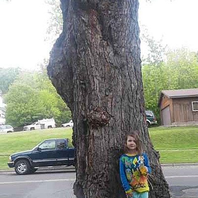 Timeline: Five Fascinating Facts Pertaining to Education