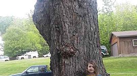 Timeline: Five Fascinating Facts Pertaining to Education