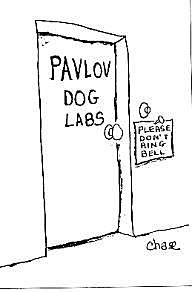 II. VITA - (60-as, 70-es évek)