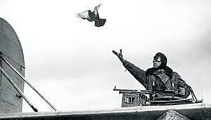 Se deja de utilizar palomas para enviar mensajes