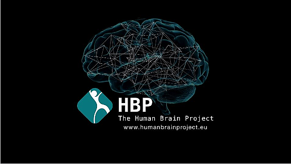 The Human Brain Project