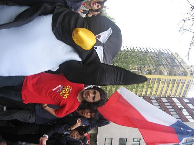 Movilización de los pingüinos