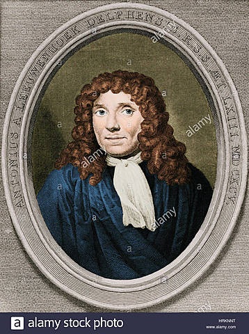 ANTON VAN LEEUWENHOEK(1632-1723) MICROORGANISMOS