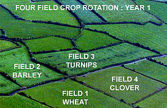 Four Crop Rotation