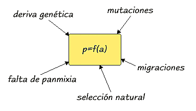 LEY DE HARDY-WEINBERG