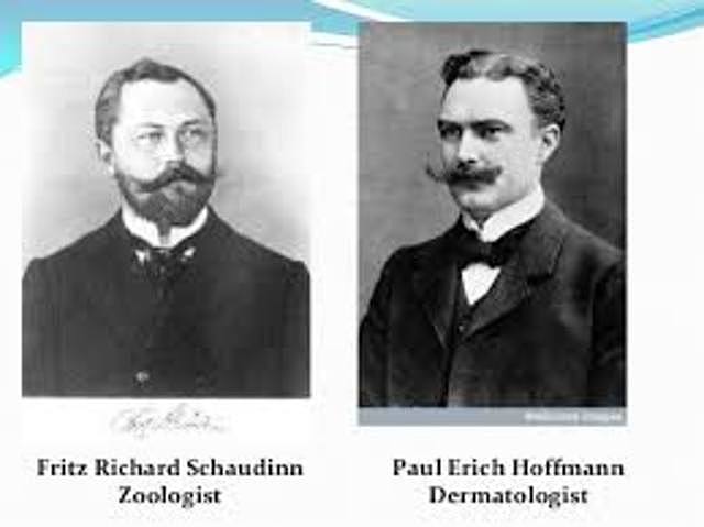 FRIZ SCHAUDINN Y ERICH HOFMANN