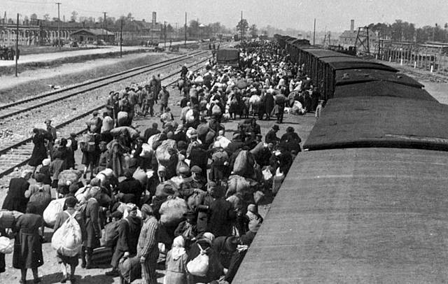 Holocausto, Alemania