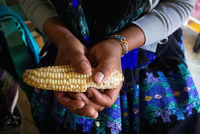 Sistema Alimentario Mexicano (SAM)
