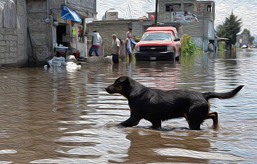 Cuatro muertos por tormenta en el Edomex