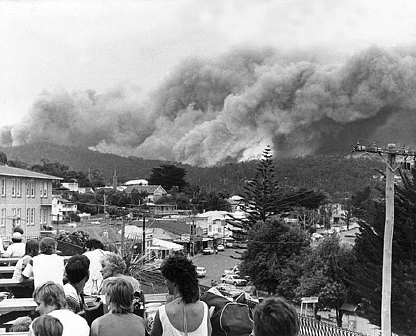 Viernes negro, incencio forestal, Australia