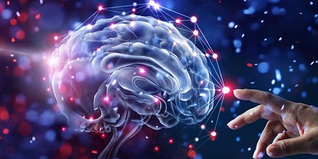 Ross Harrison (Embriologo)