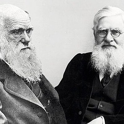 Timeline: biografia de Darwin y aportes de Wallace