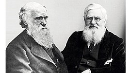 Timeline: biografia de Darwin y aportes de Wallace