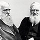 Darwin y wallace