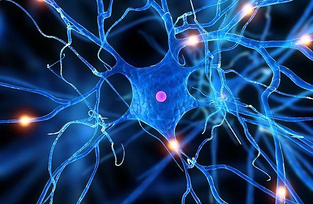 Conexionismo Celular