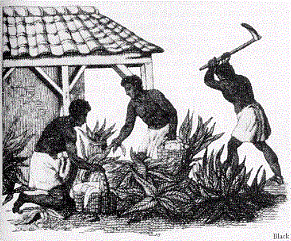 Ban on slavery in british colonies.