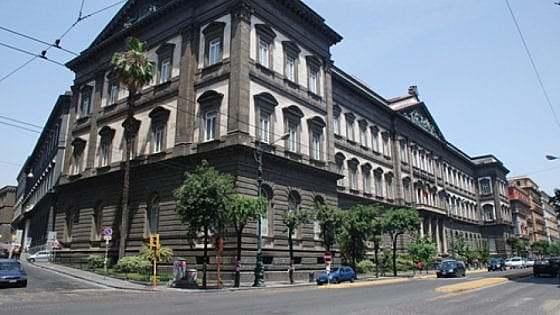 Universidad de Nápoles Fedrico II