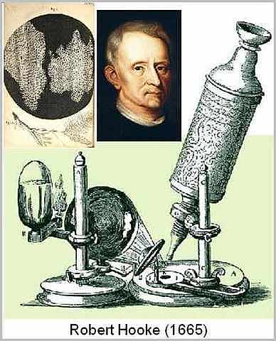 ROBERT HOOKE
