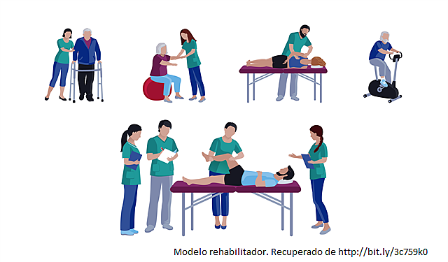 El modelo rehabilitador