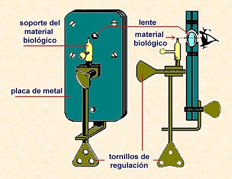ANTON VAN LEEUWENHOEK
