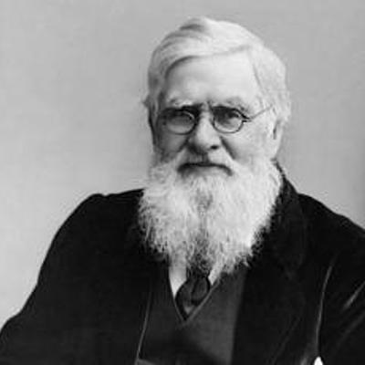 Timeline: biografia de Alfred Russel Wallace