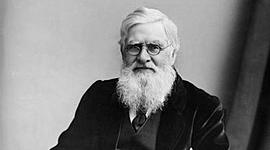 Timeline: biografia de Alfred Russel Wallace