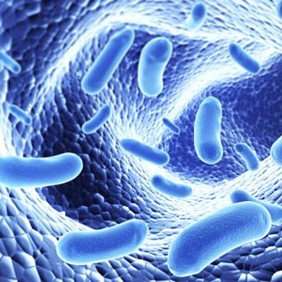 Timeline: historia de la microbiologia